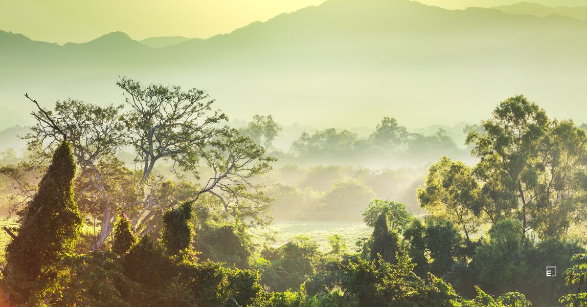 La Jungla Colombiana, Un Destino Mágico